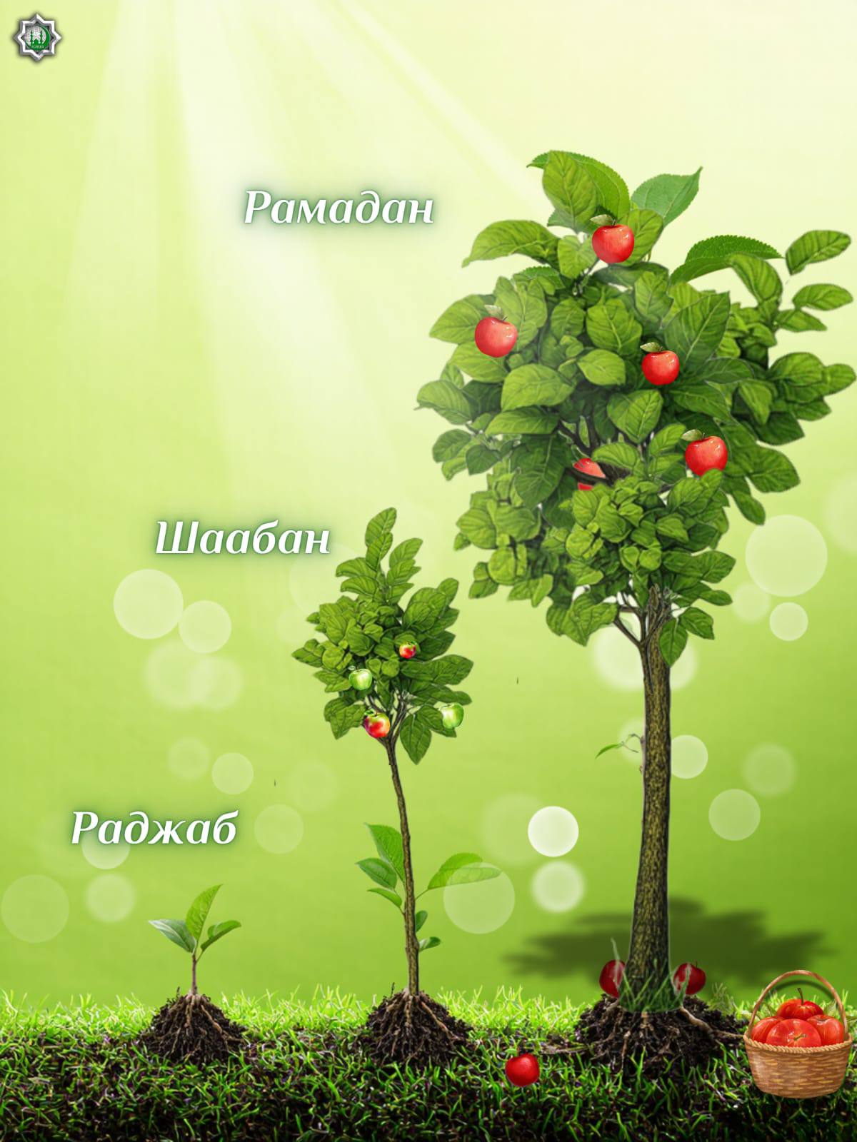 Путь духовного роста